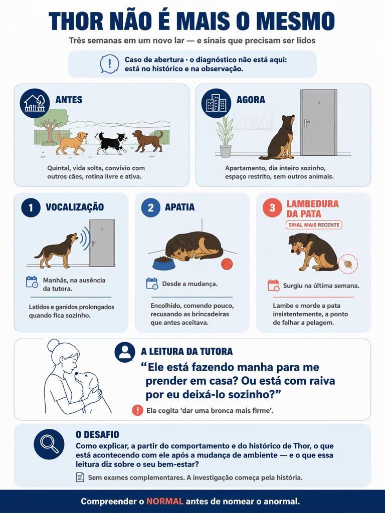 Infográfico do momento 1 — Caso TUT