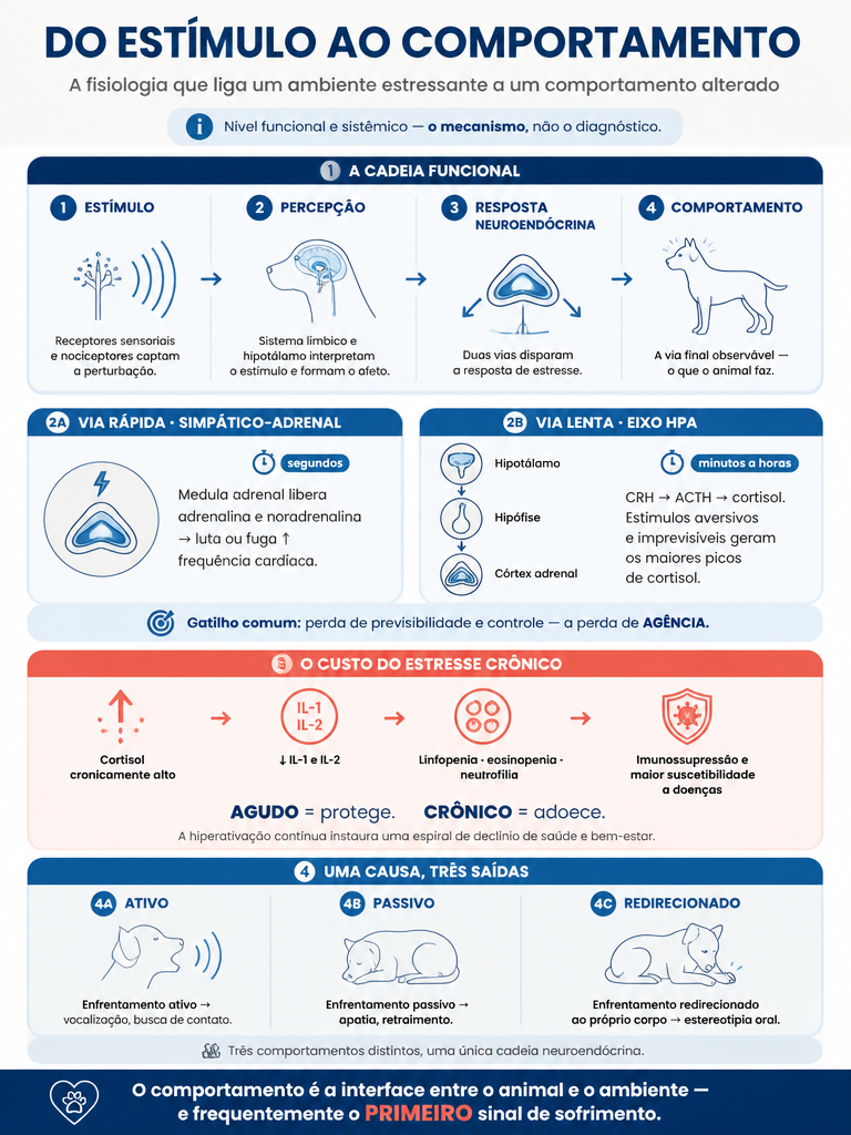 Infográfico do momento 2 — Fundamentos Teóricos