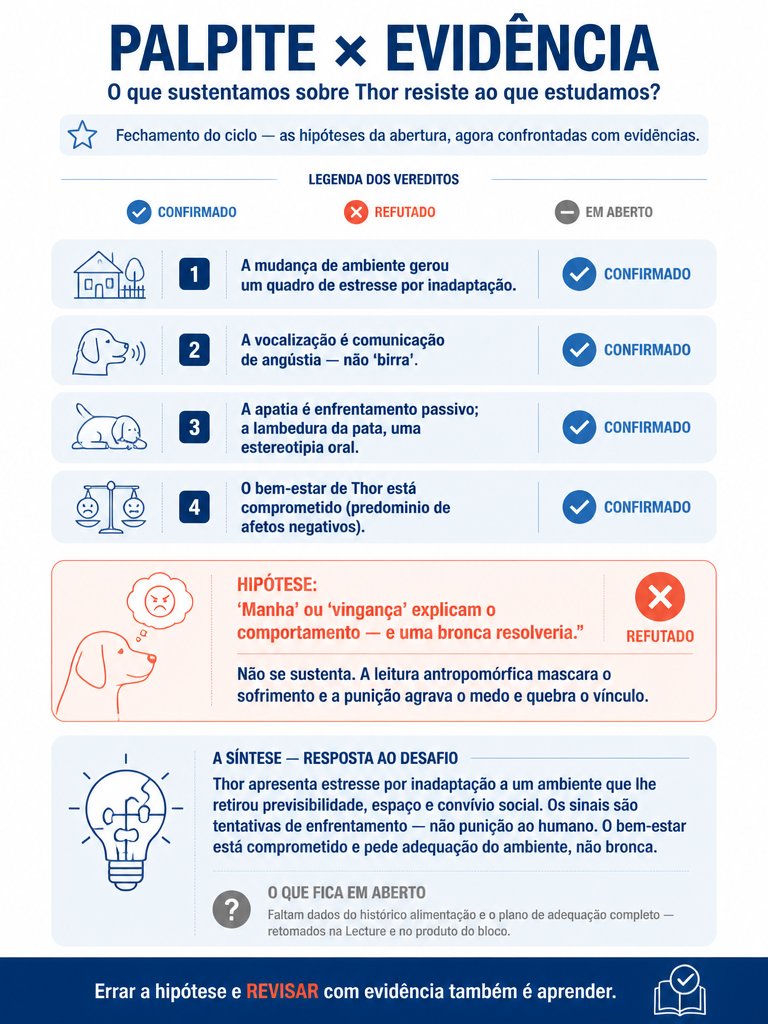 Infográfico do momento 5 — Fechamento da Tutoria