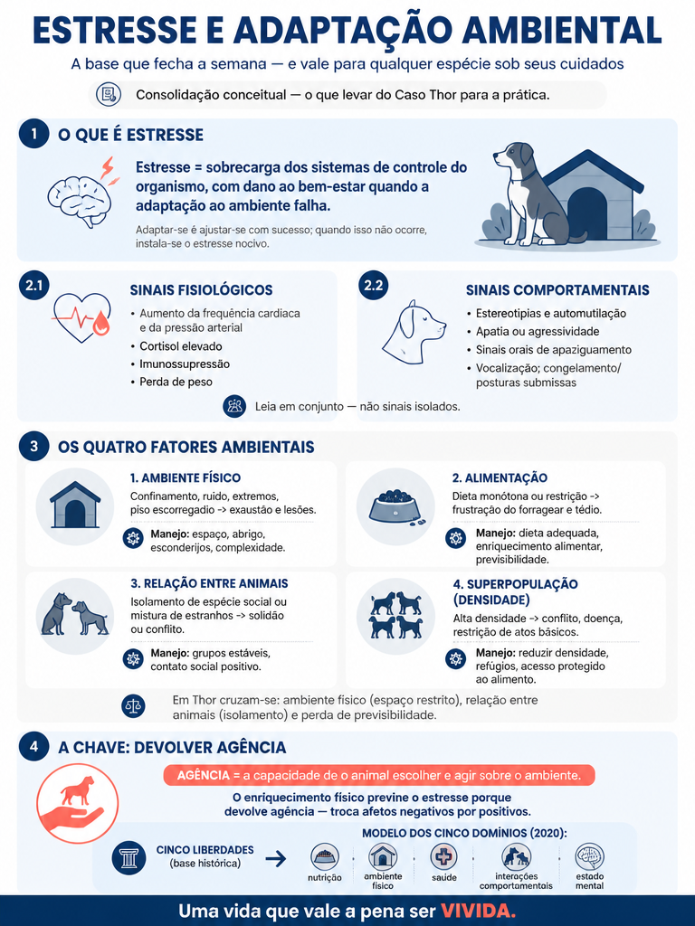 Infográfico do momento 6 — Lecture
